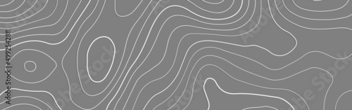 Map line of topography. Vector abstract topographic map concept with space for your copy, vector landscape geodesy topography map background. Line texture pattern, topographic multicolored linear 