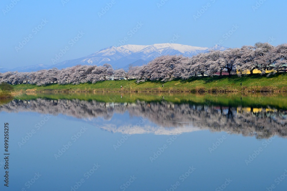 一目千本桜と蔵王連峰 一目千本桜と蔵王連峰