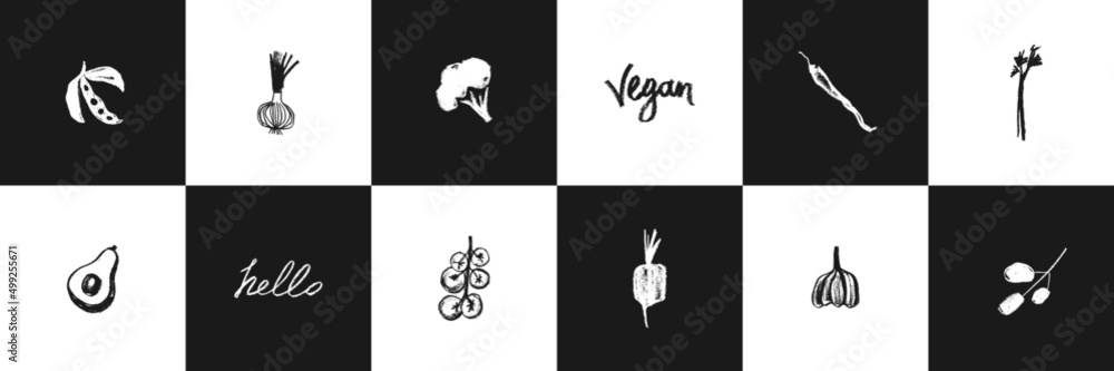 Vector vegetable icon set for organic food label, healthy eat packaging design. Green hand drawn broccoli symbol, tomato icon, onion sign, soy Illustration, garlic drawing, olive insignia, beet logo.