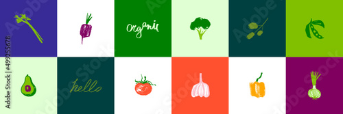 Vector vegetable icon set for organic food label, healthy eat packaging design. Green hand drawn broccoli symbol, tomato icon, onion sign, soy Illustration, beet drawing, olive insignia, avocado logo.