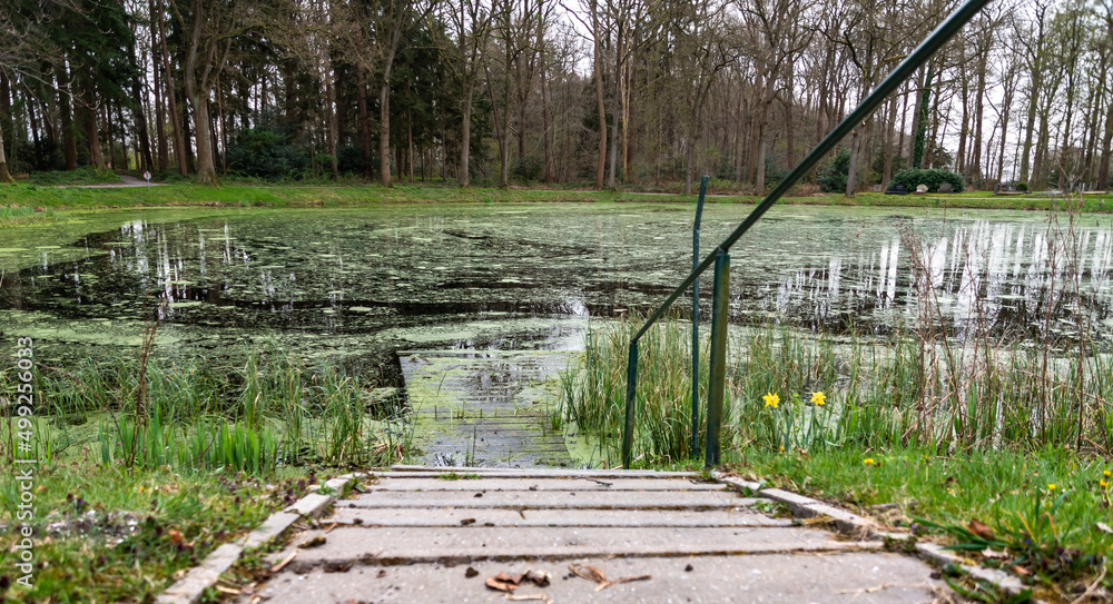 Stairs to the water in the park and a footbridge under the water - obrazy, fototapety, plakaty 