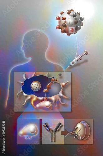 Φωτογραφία First attempt to search for a virus against AIDS by injecting GP120