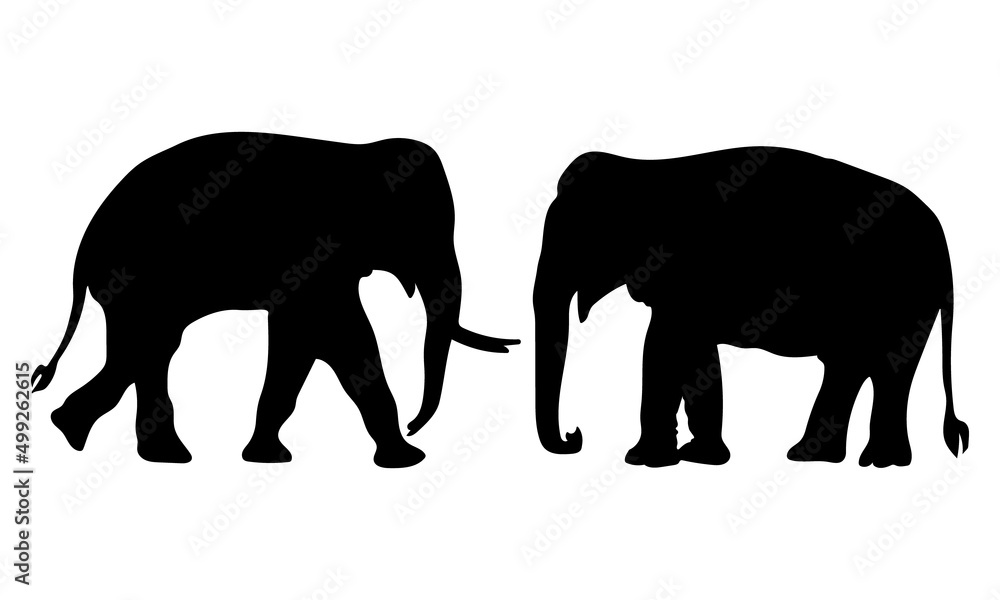 set of elephant silhouettes. Elephant shadow hand-drawn. Flat vector illustration.