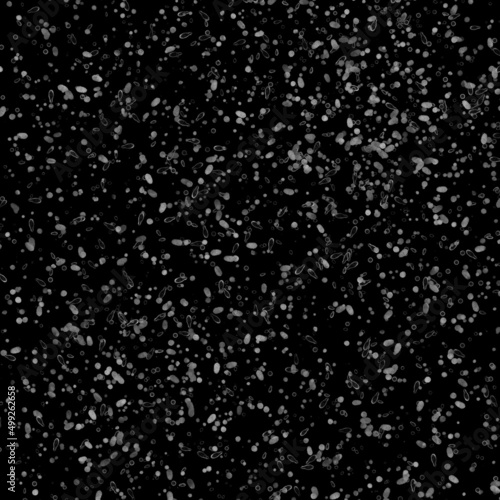 Background small spots blots white gray on a black background wallpaper paper © Ekaterina Anisimova