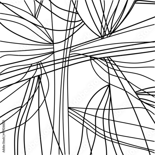The image imitates a web in the absence of a spider.