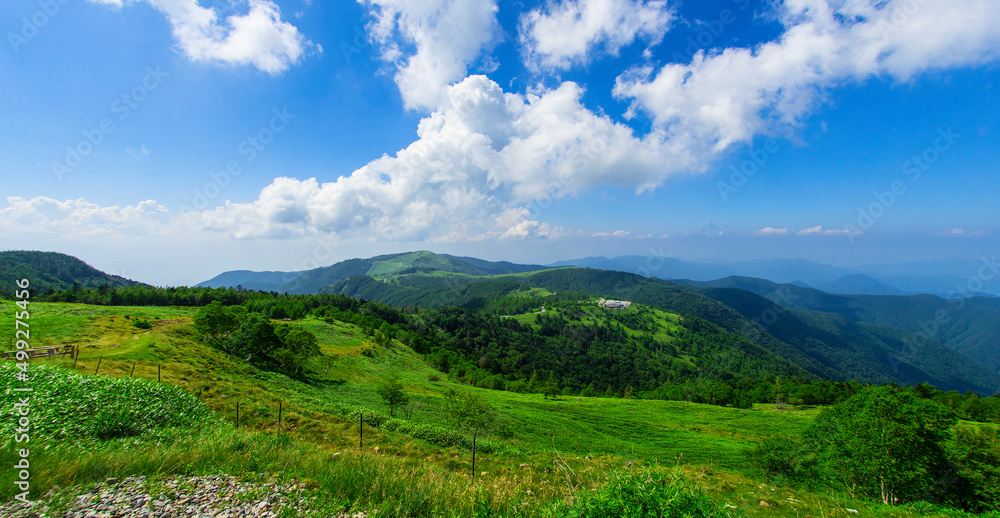 Fototapeta premium 美ヶ原