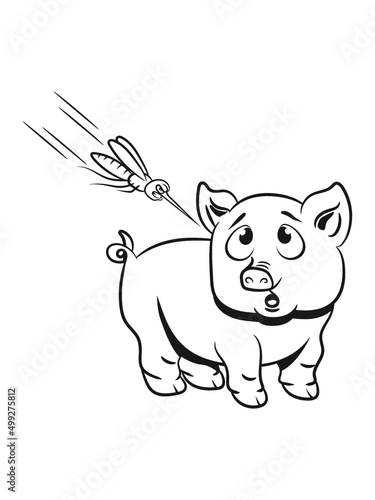 Schwein Ferkel Tier 