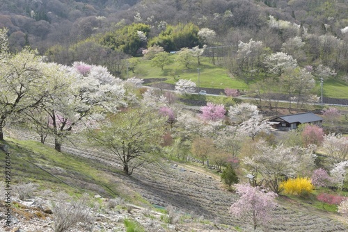 春の日本の田舎風景