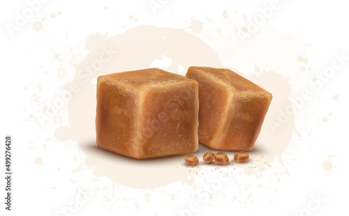 Brown sugar cane Jaggery Cube vector illustration 