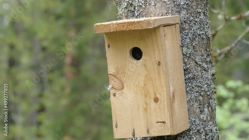 Closer look of the small peekhole of the birdhouse in Estonia found in the forest photo