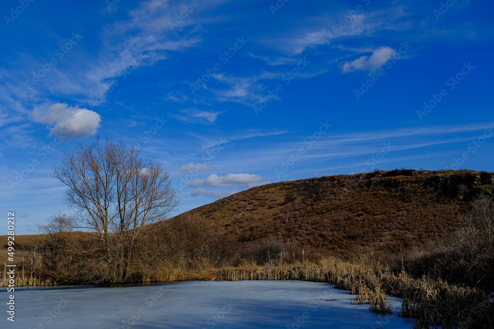 Fototapeta premium lake in the woods