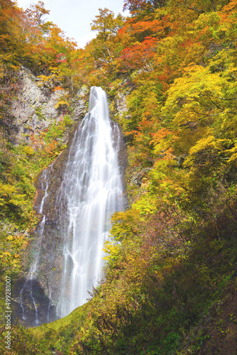日本、青森、くろくまの滝の紅葉