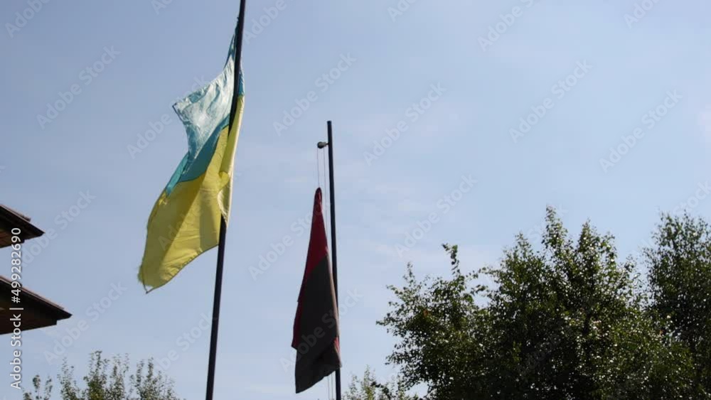 Flag of Ukraine and battle. national traditional red black flag of ...