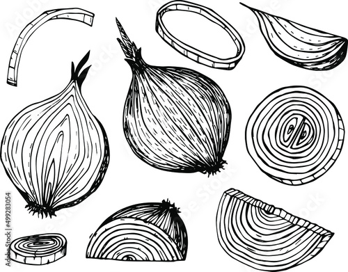 Onion outline drawn  icon set. Pile of onion bulbs, bunch of fresh green onions and rings. 