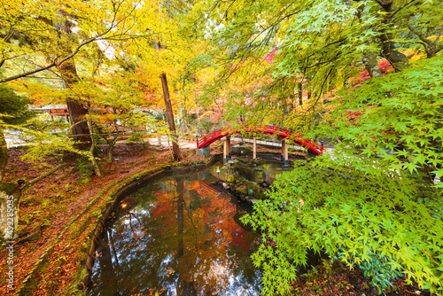 今高野山,龍華寺の紅葉(広島県世羅郡世羅町)