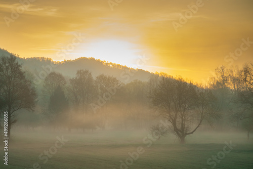 Romantic and misty morning on the open fields at sunrise, layers of fog are seen around the trees and sun is slowly rising up.