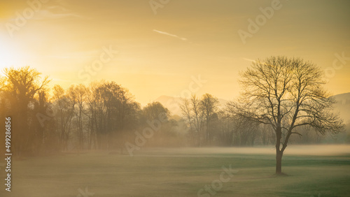 Romantic and misty morning on the open fields at sunrise, layers of fog are seen around the trees and sun is slowly rising up.