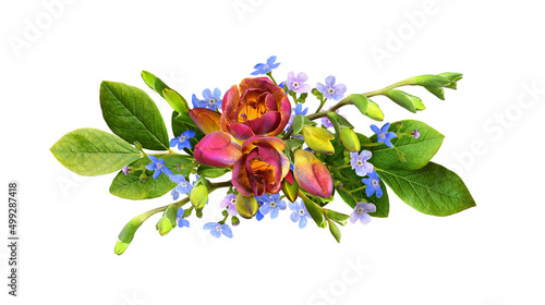 Red and yellow freesia flow...