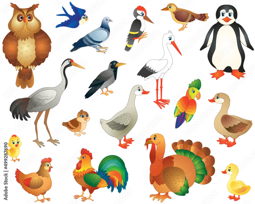 Obraz premium set of wild and domestic birds in a funny cartoon style. vector illustration