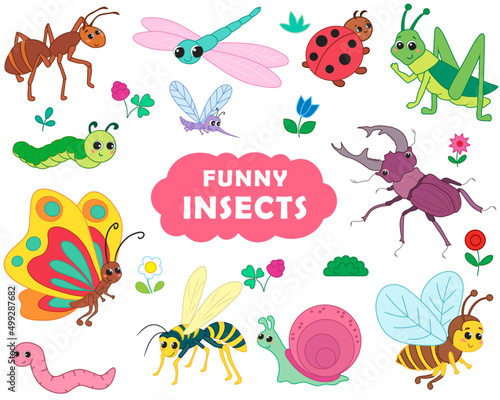 set of insects in a funny cartoon style. vector illustration