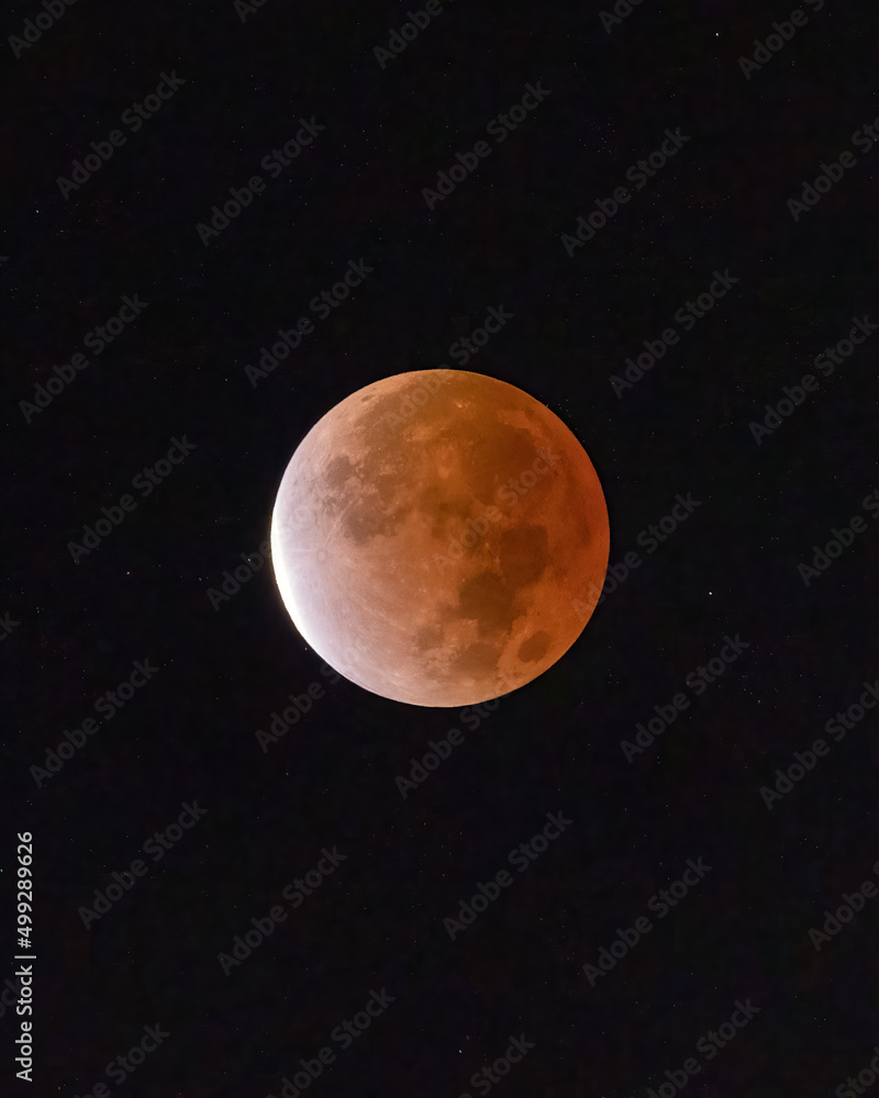 Naklejka premium Almost full lunar eclipse - November 2021 seen from New York