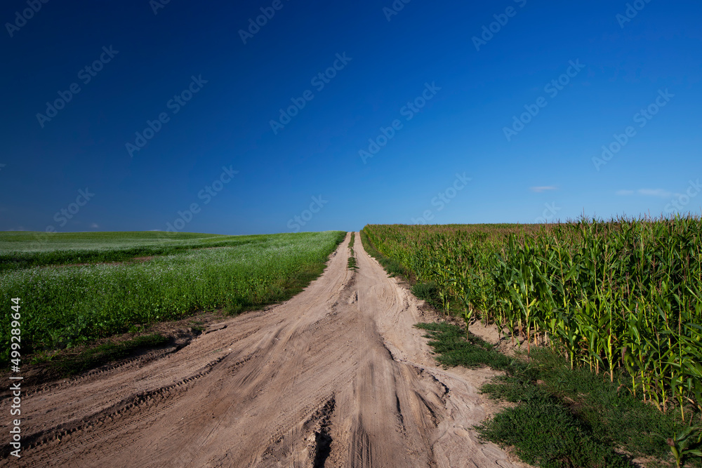 empty, paved road in the countryside in the form of a track from the wheels of cars empty, paved road in the countryside in the form of a track from the wheels of cars