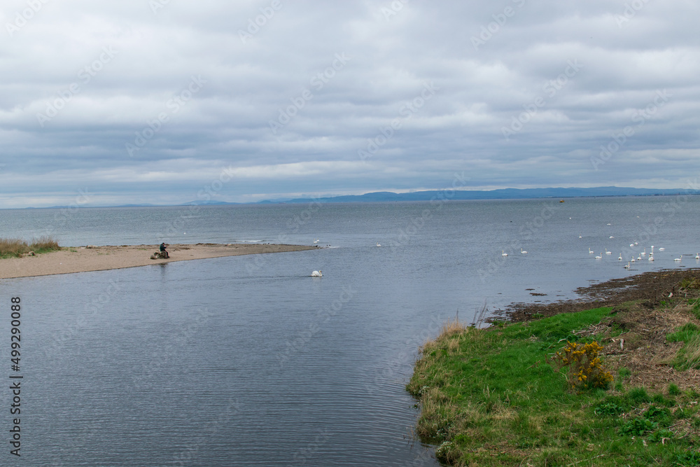 Unidentified men having lunch and watching swan and seagull in water Unidentified men having lunch and watching swan and seagull in water