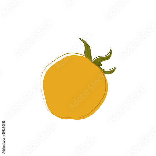 Vector lying yellow whole raw tomato. Hand drawn element. Fresh vegetable