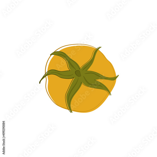 Top view of yellow ripe red tomato, ingredient for salad. Vegetarian food.