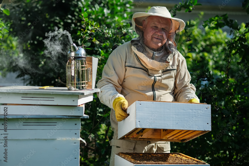 Beekeeper on apiary. Beekeeper is working with bees and beehives on the apiary. Apiculture. Beekeeper on apiary. Beekeeper is working with bees and beehives on the apiary. Apiculture.