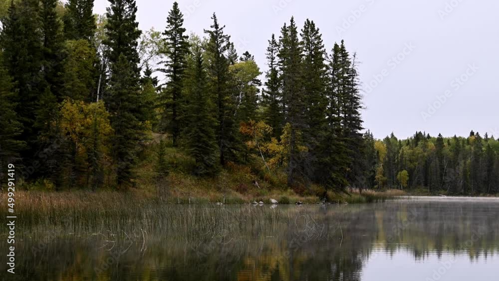 Calm lake with moving mist and small ripples reflects an autumn forest of green and orange colors. Slowly zooms out.
Calm lake with moving mist and small ripples reflects an autumn forest of green and orange colors. Slowly zooms out.