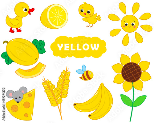 set of yellow items. Visual dictionary for children about primary colors. vector illustration