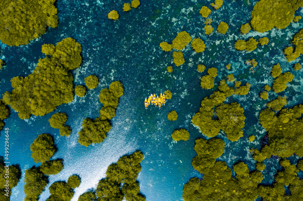 St. Cruz island zambonga Philippines mangrove drone shot St. Cruz island zambonga Philippines mangrove drone shot