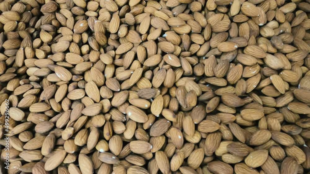 Heap of Almond nuts .Smooth Movement of a pile of cashew nuts, with shells Heap of Almond nuts .Smooth Movement of a pile of cashew nuts, with shells