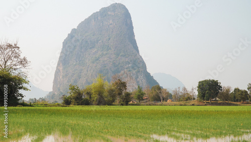 Beautiful view over rice fields and mountain in the background. Meuang Feuang, Laos photo