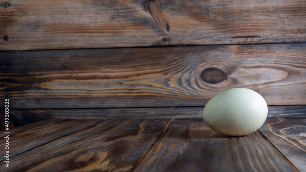 Araucana egg on wooden background. Light blue egg from Araucana chicken. Easter Festival concepts. Easter egg.