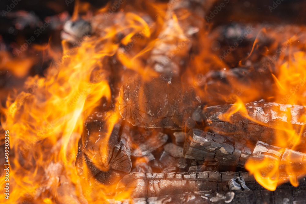 Yellow tongues of flame dancing on wooden logs Yellow tongues of flame dancing on wooden logs