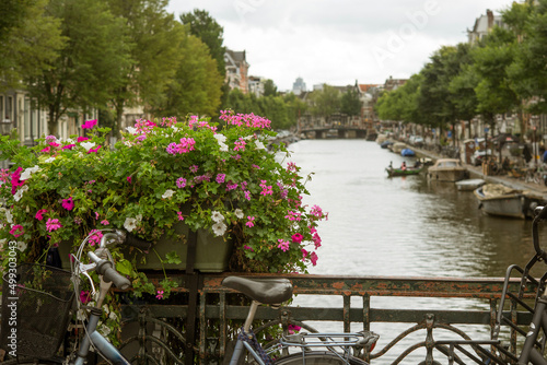 Canvas Print Amsterdam traditional postcard view: canal, bike and flowers