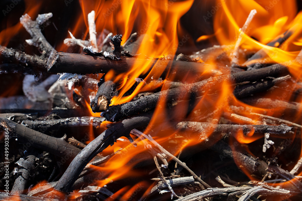 orange flame of fire while burning branches and firewood orange flame of fire while burning branches and firewood