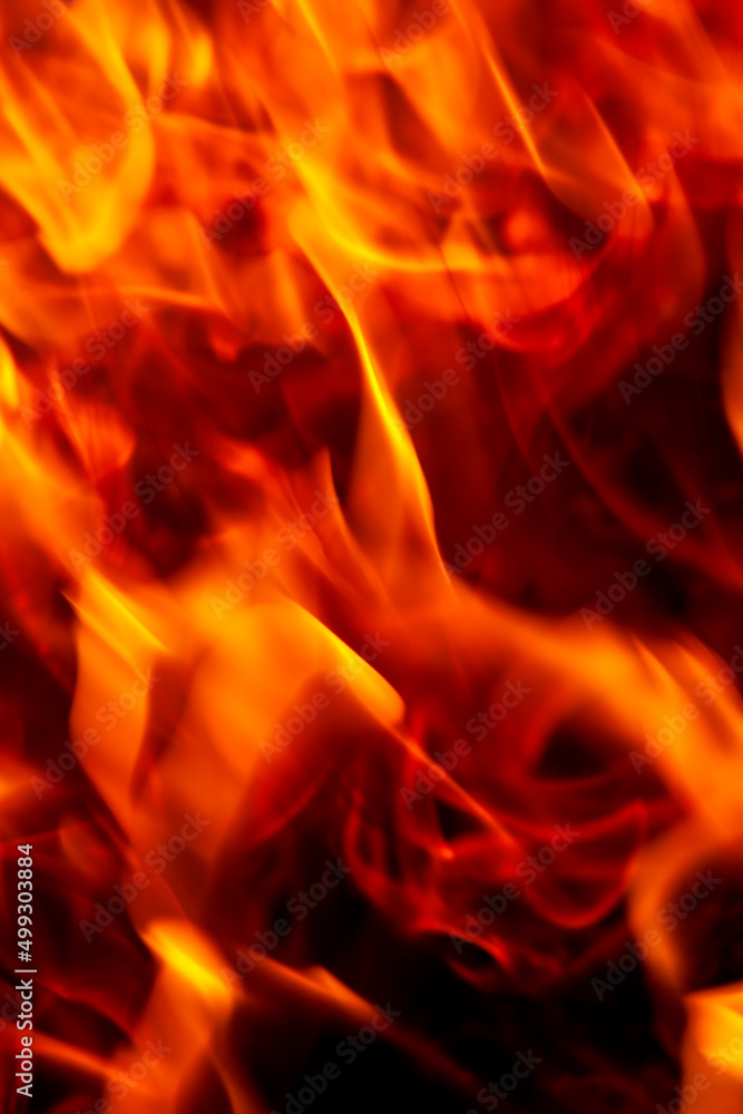orange flame of fire while burning branches and firewood orange flame of fire while burning branches and firewood
