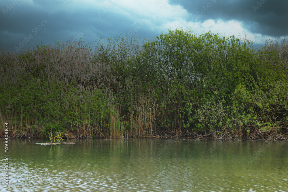 swamp with water and ominous cloudy sky-