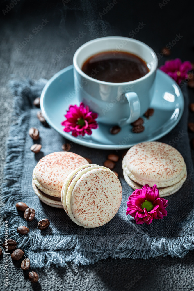 Delicious and fresh coffee macaroons as a small snack. Delicious and fresh coffee macaroons as a small snack.