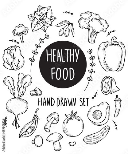 Set of vector vegetables and fruits, root vegetables and mushrooms, legumes and spicy plants, food in linear hand drawn doodle style. Isolated hand drawings for design and decor on white background