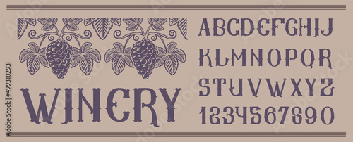 Vintage font with seamless pattern grape. Perfect for alcohol labels, logos, shops,headlines, posters and many other uses. 