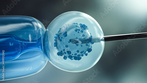 Ovum with needle for artificial insemination or in vitro fertilization. 3D Rendering photo