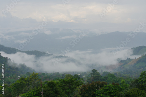 Landscape green mountains forest with rain fog at Doi Chang, Chiang Rai Thailand