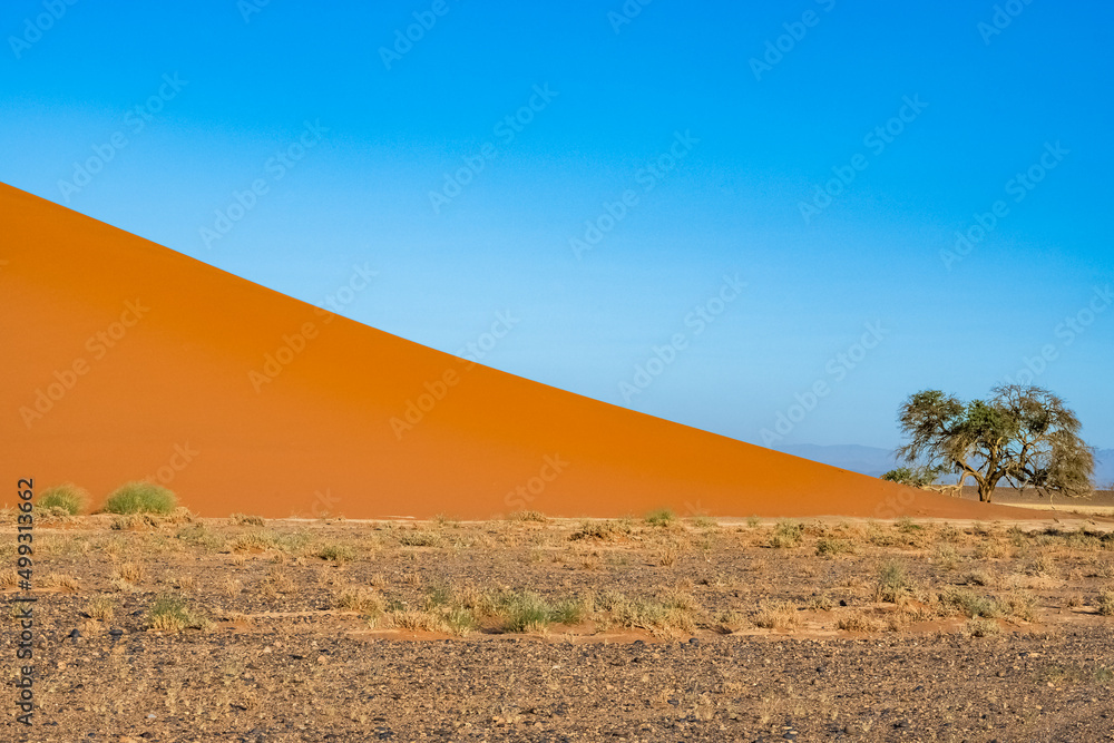 Namibia, the Namib desert, graphic landscape of red dunes 

