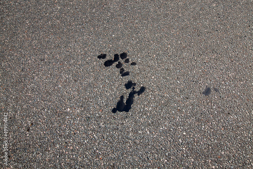 oil and fuel stains on the paved highway