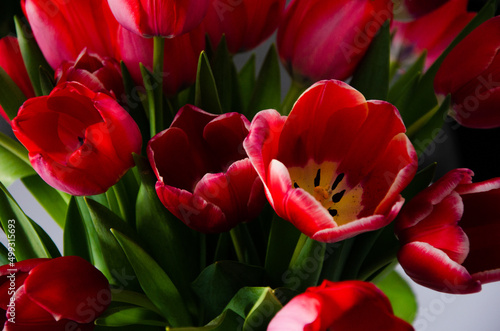 bouquet of tulip flowers is on table of house. concept of a gift for holiday of Women's Day, mother, grandmother, girl