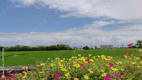 The Dulan Sea Viewing Platform, Taitung, enjoy the beautiful coastline of Taitung photo